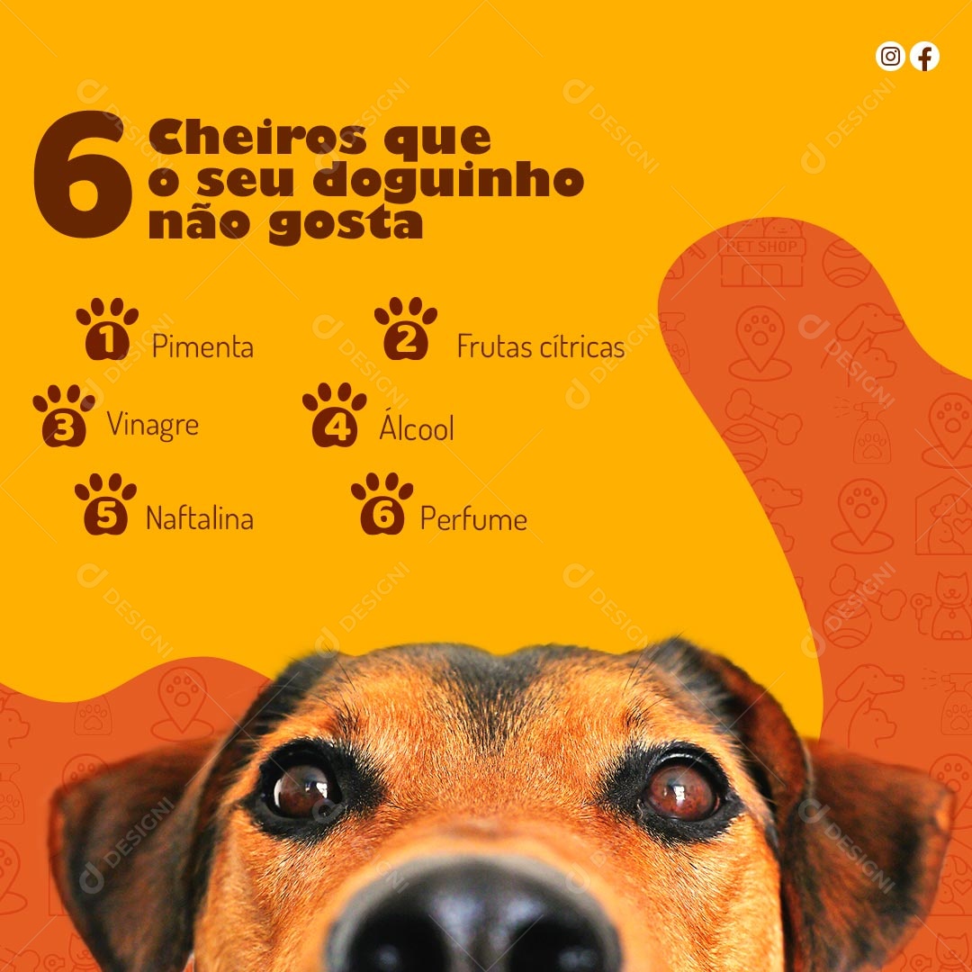 6 Cheiros Que Seu Doguinho Não Gosta Social Media PSD Editável