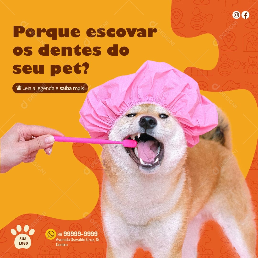 Por que Escovar OS Dentes do Seu Pet Social Media PSD Editável