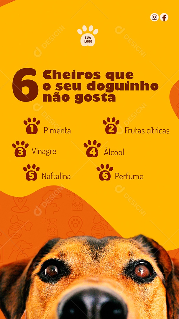 Story 6 Cheiros Que Seu Doguinho Não Gosta Social Media PSD Editável