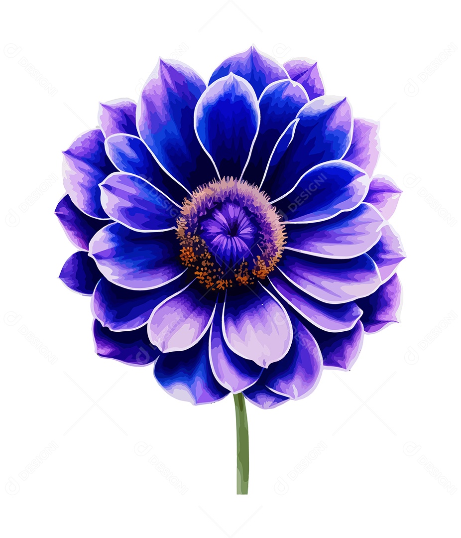 Flor De Aquarela Desenhada De Mão Vetor EPS