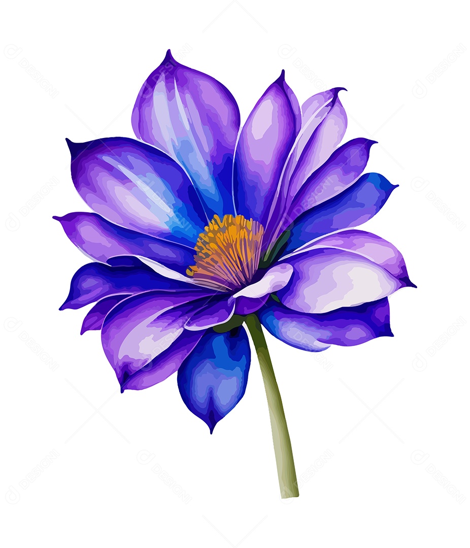 Flor De Aquarela Desenhada De Mão Vetor EPS