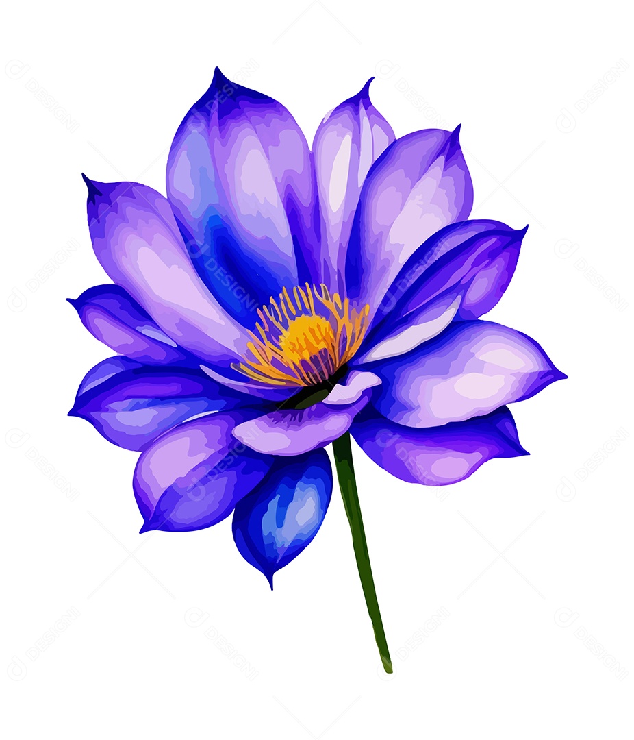 Flor De Aquarela Desenhada De Mão Vetor EPS