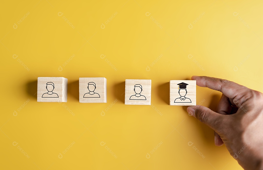 Etapas da educação que levam ao objetivo de sucesso.