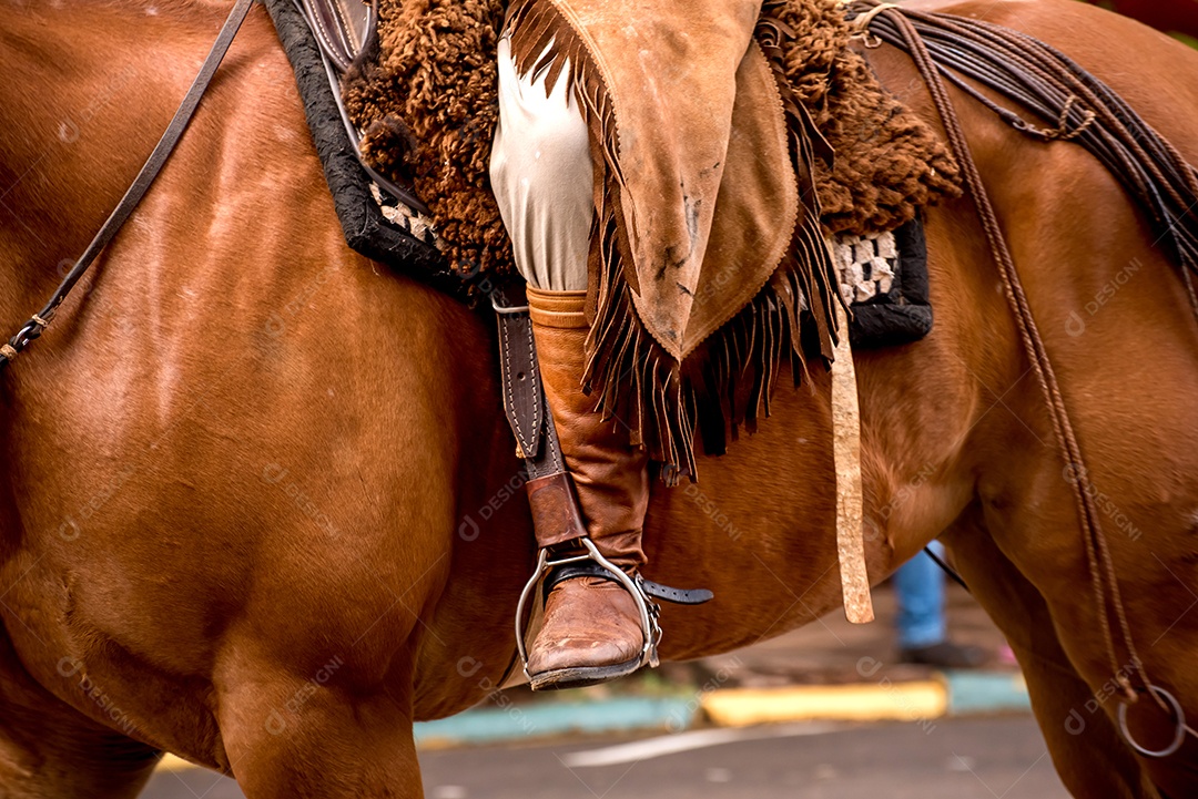 Detalhe de uma bota gaúcha montada em um cavalo