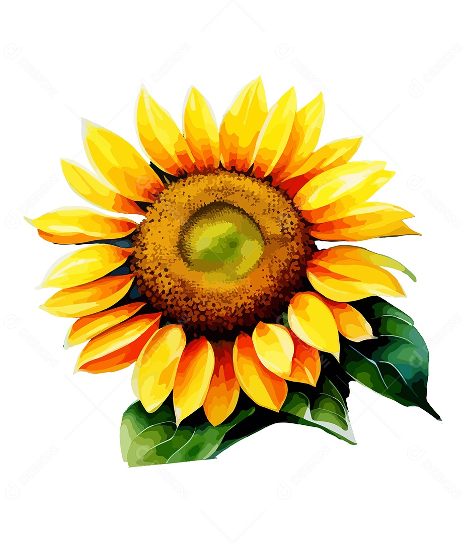Desenho De Flor Girassol Em Aquarela Desenhada Á Mão Vetor EPS