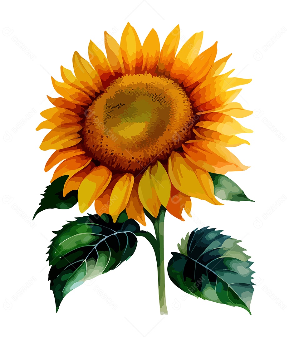 Desenho De Flor Girassol Em Aquarela Desenhada Á Mão Vetor EPS