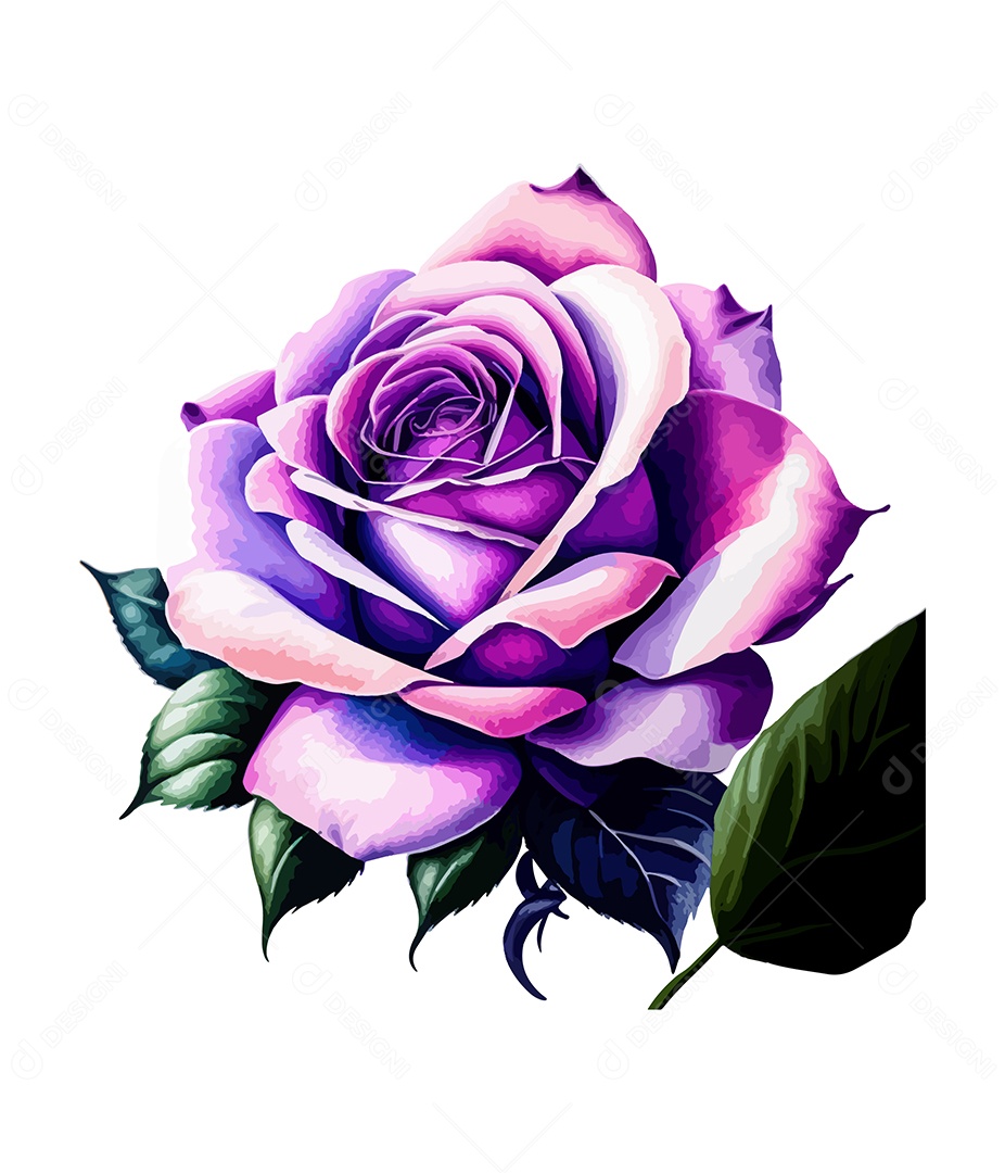 Desenho De Flor Em Aquarela Desenhada Á Mão Vetor EPS