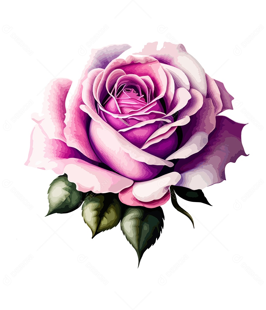 Desenho De Flor Em Aquarela Desenhada Á Mão Vetor EPS