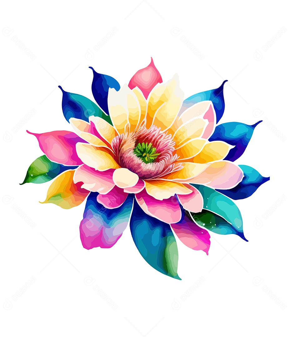 Flor De Aquarela Colorida Desenhada Á Mão Vetor EPS