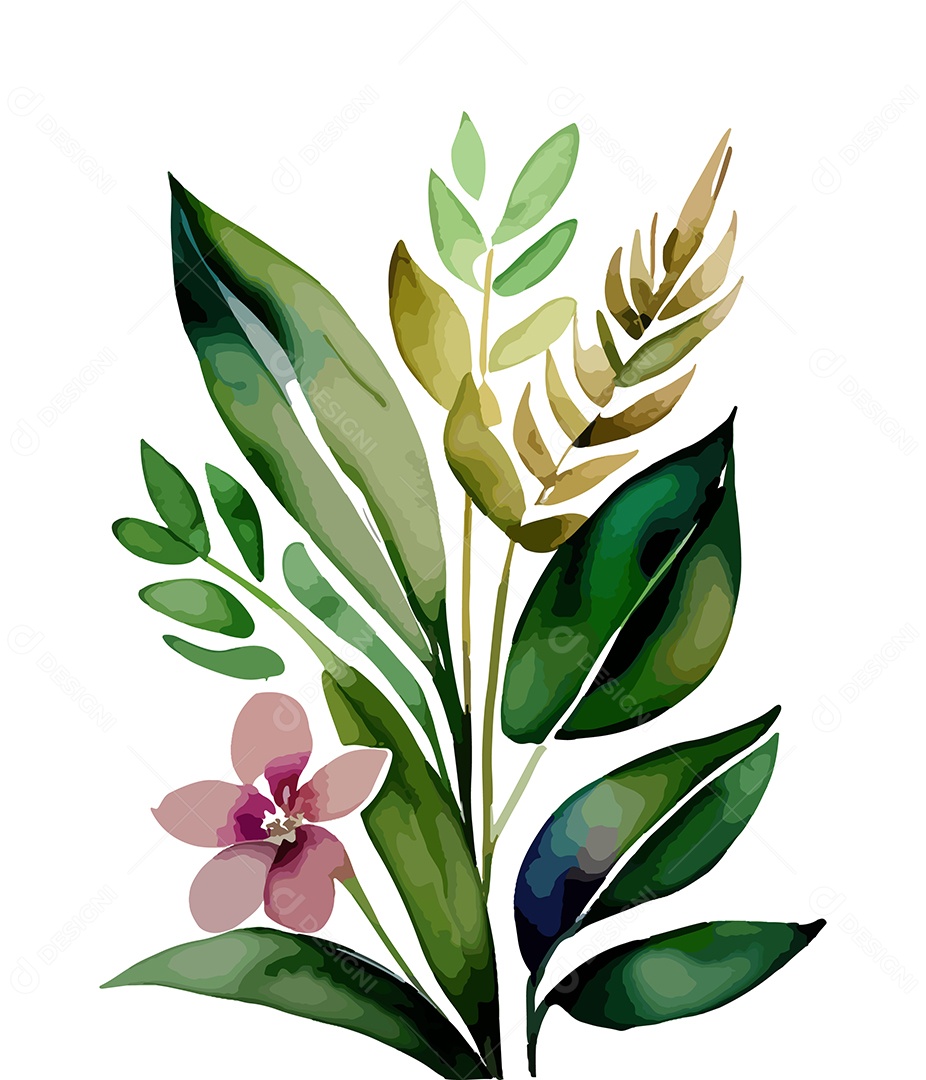 Desenho De Flor De Aquarela Desenhada Á Mão Vetor EPS