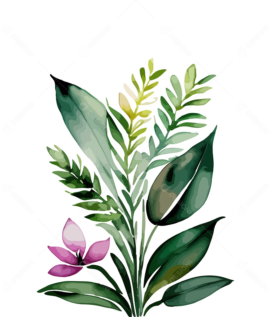 Desenho De Flor De Aquarela Desenhada Á Mão Vetor EPS