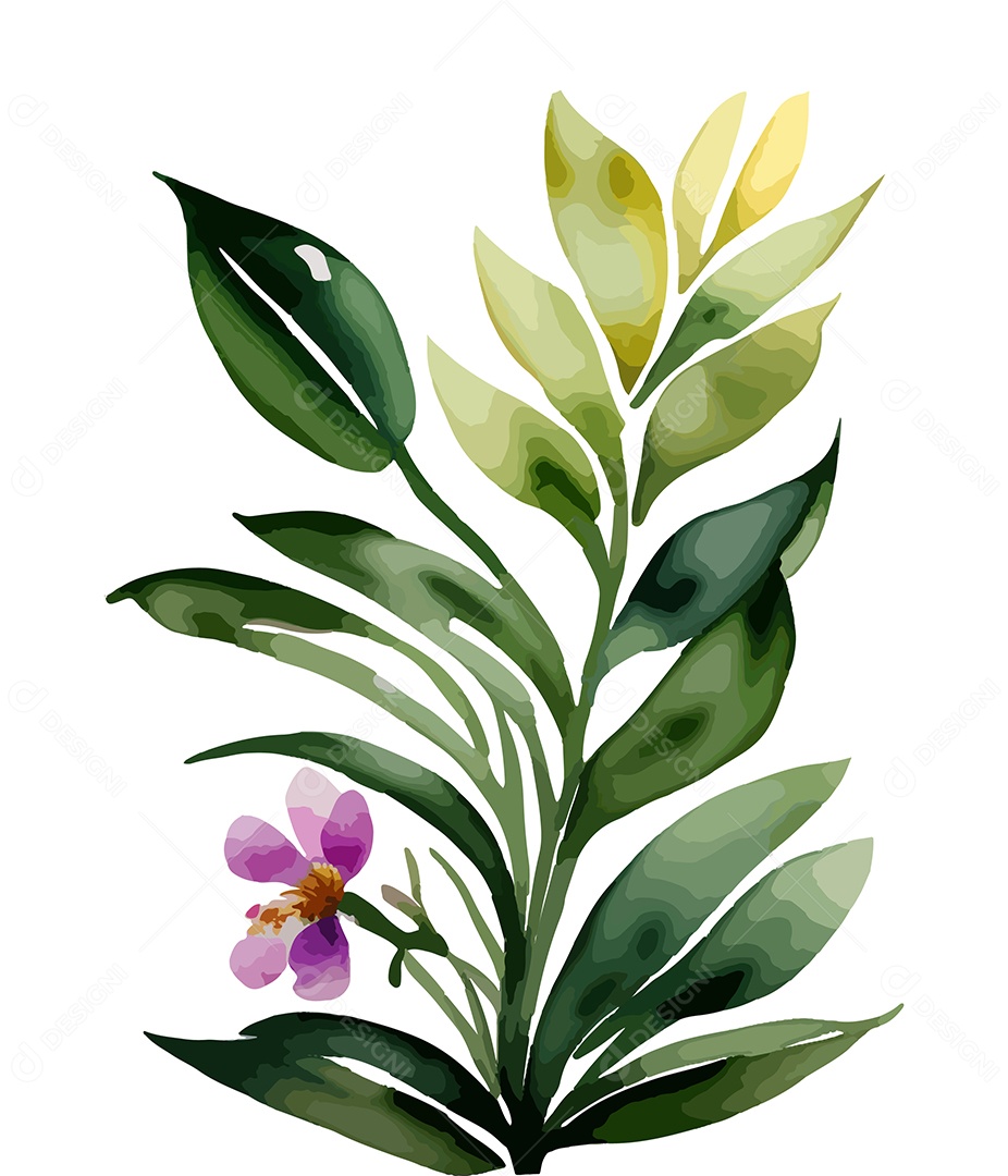 Desenho De Flor De Aquarela Desenhada Á Mão Vetor EPS