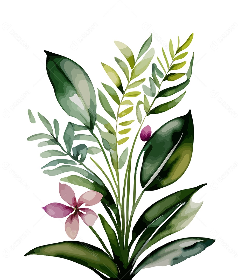 Desenho De Flores De Aquarela Desenhada Á Mão Vetor EPS