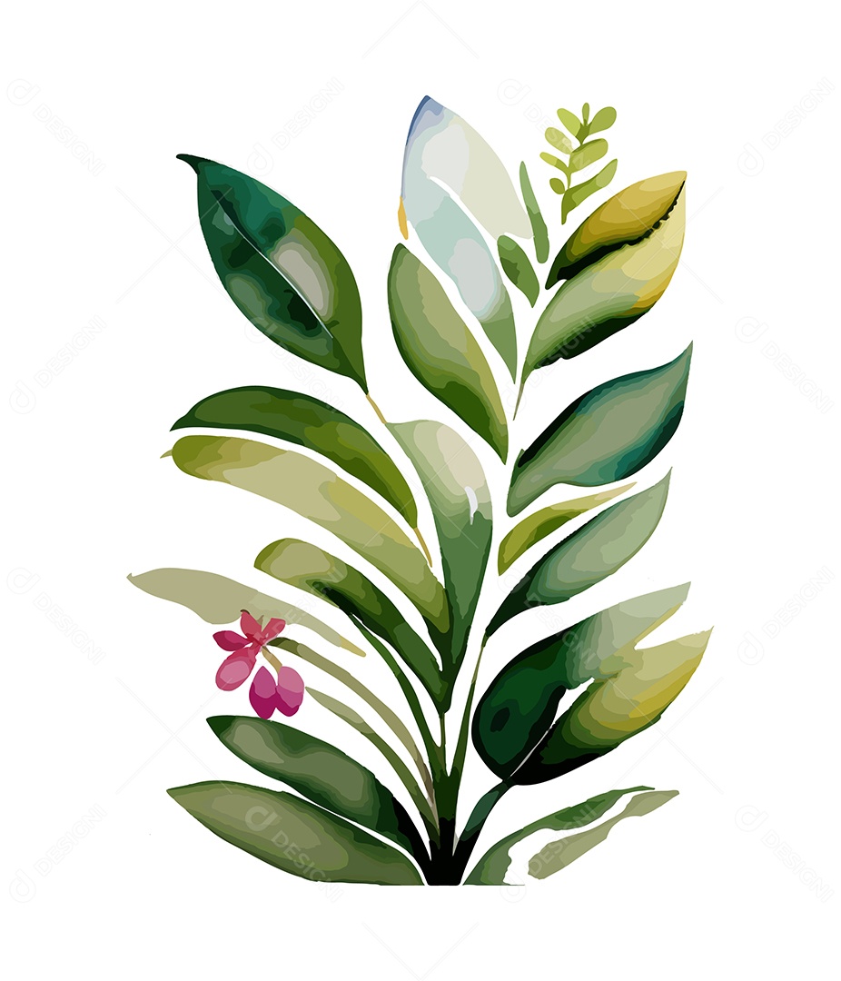 Desenho De Flor De Aquarela Desenhada Á Mão Vetor EPS