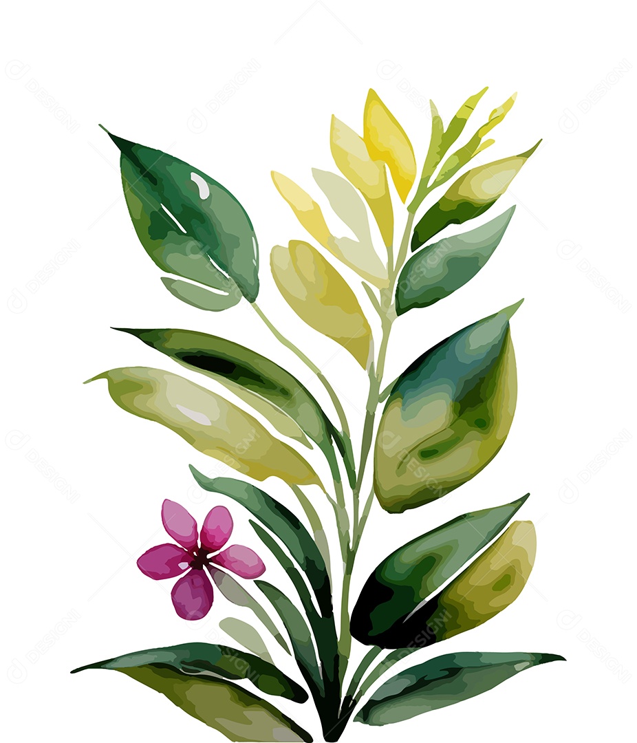 Desenho De Flor De Aquarela Desenhada Á Mão Vetor EPS