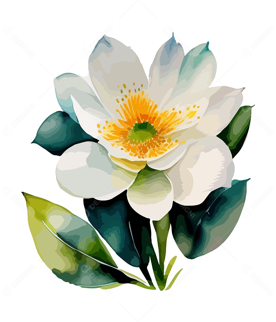 Flor De Aquarela Desenhada Á Mão Vetor EPS