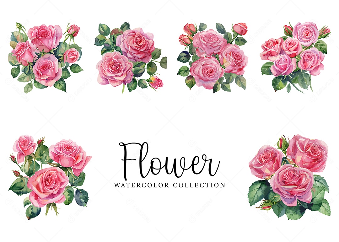 Conjunto De Flores Rosa Em Aquarela Desenhada Á Mão Vetor EPS