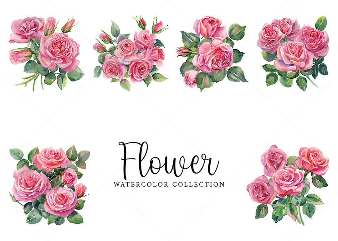 Conjunto De Flores Rosa Em Aquarela Desenhada Á Mão Vetor EPS