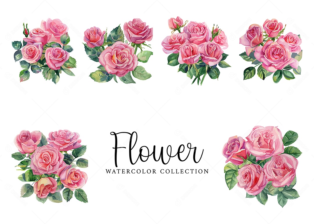 Conjunto De Flores Rosa Em Aquarela Desenhada Á Mão Vetor EPS