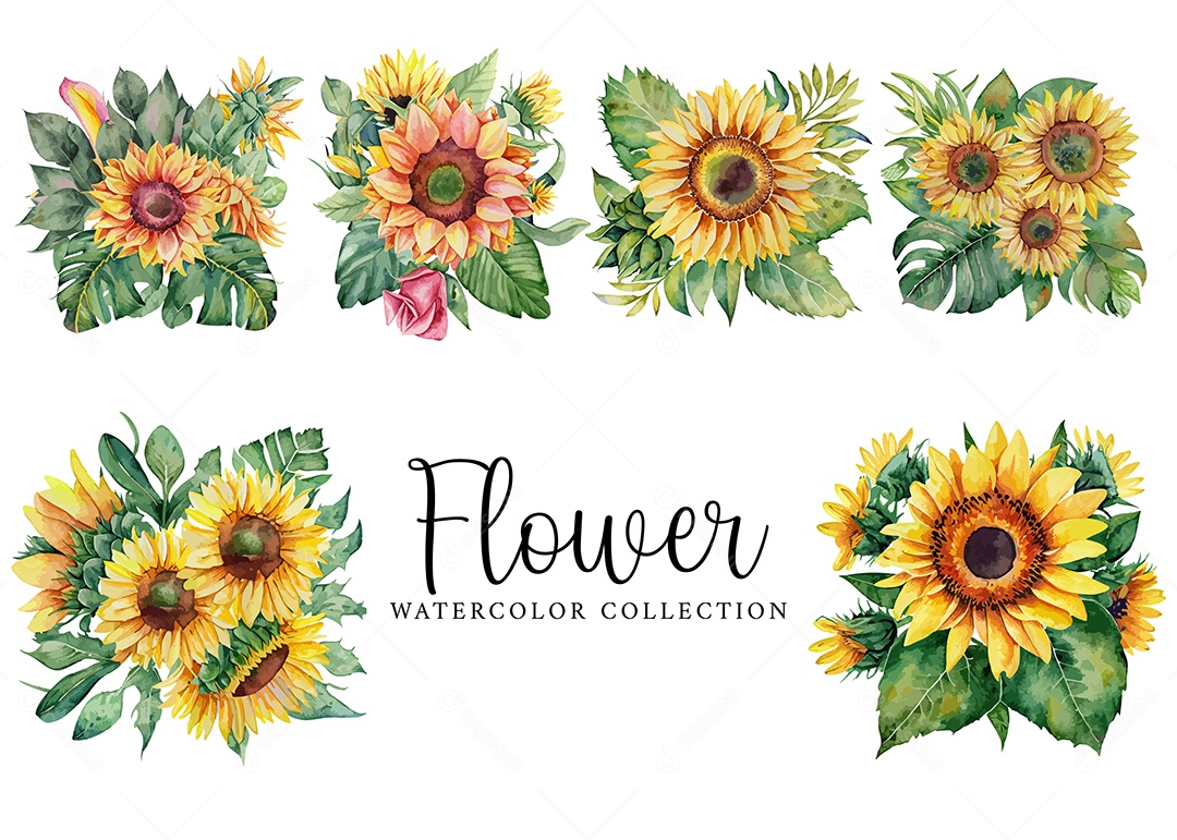 Conjunto De Flores Girassol Em Aquarela Desenhada Á Mão Vetor EPS
