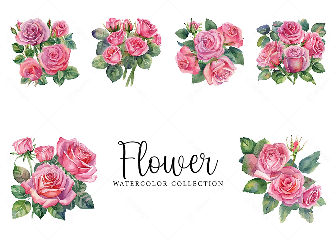 Conjunto De Flores Rosa Em Aquarela Desenhada Á Mão Vetor EPS