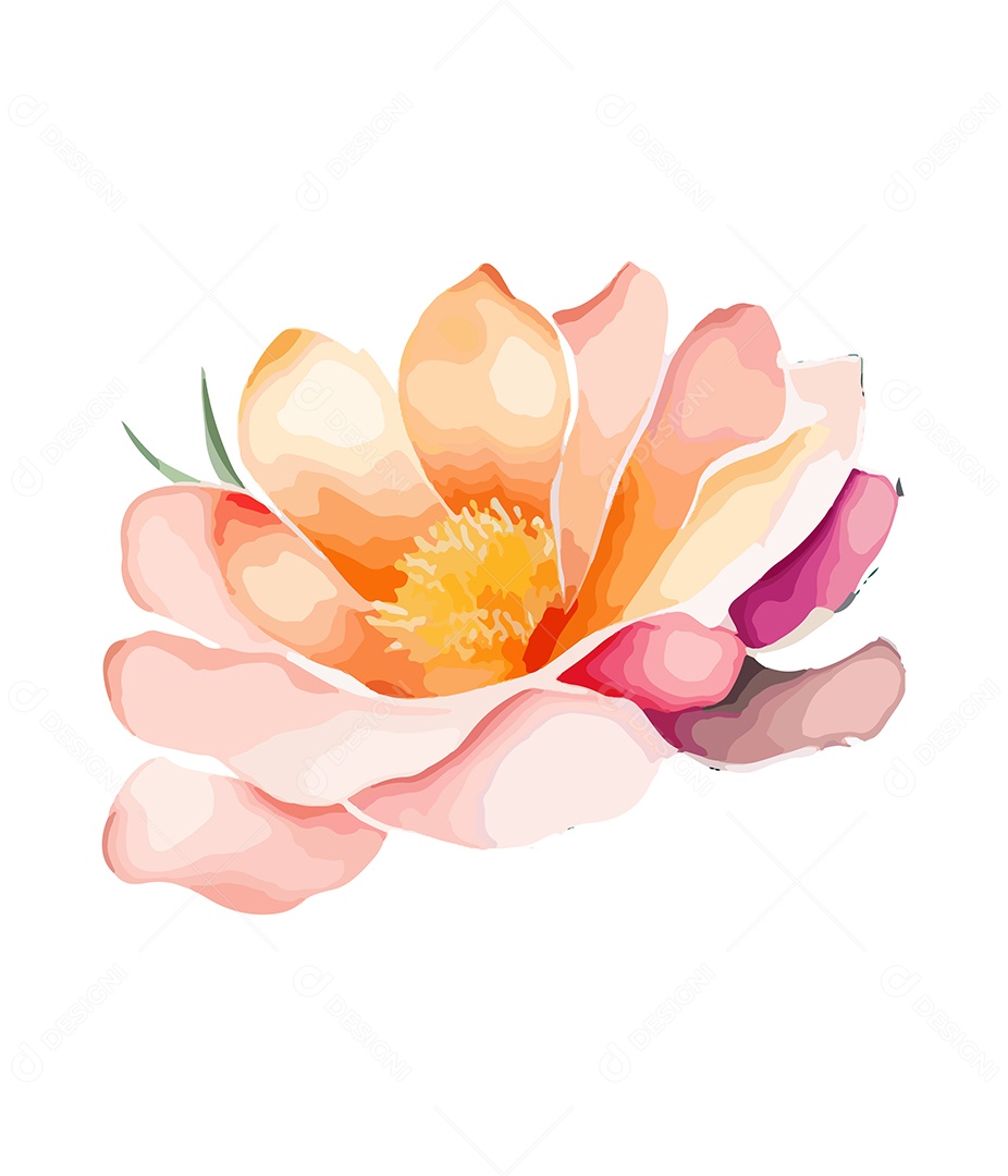 Flor De Aquarela Desenhada Á Mão Vetor EPS