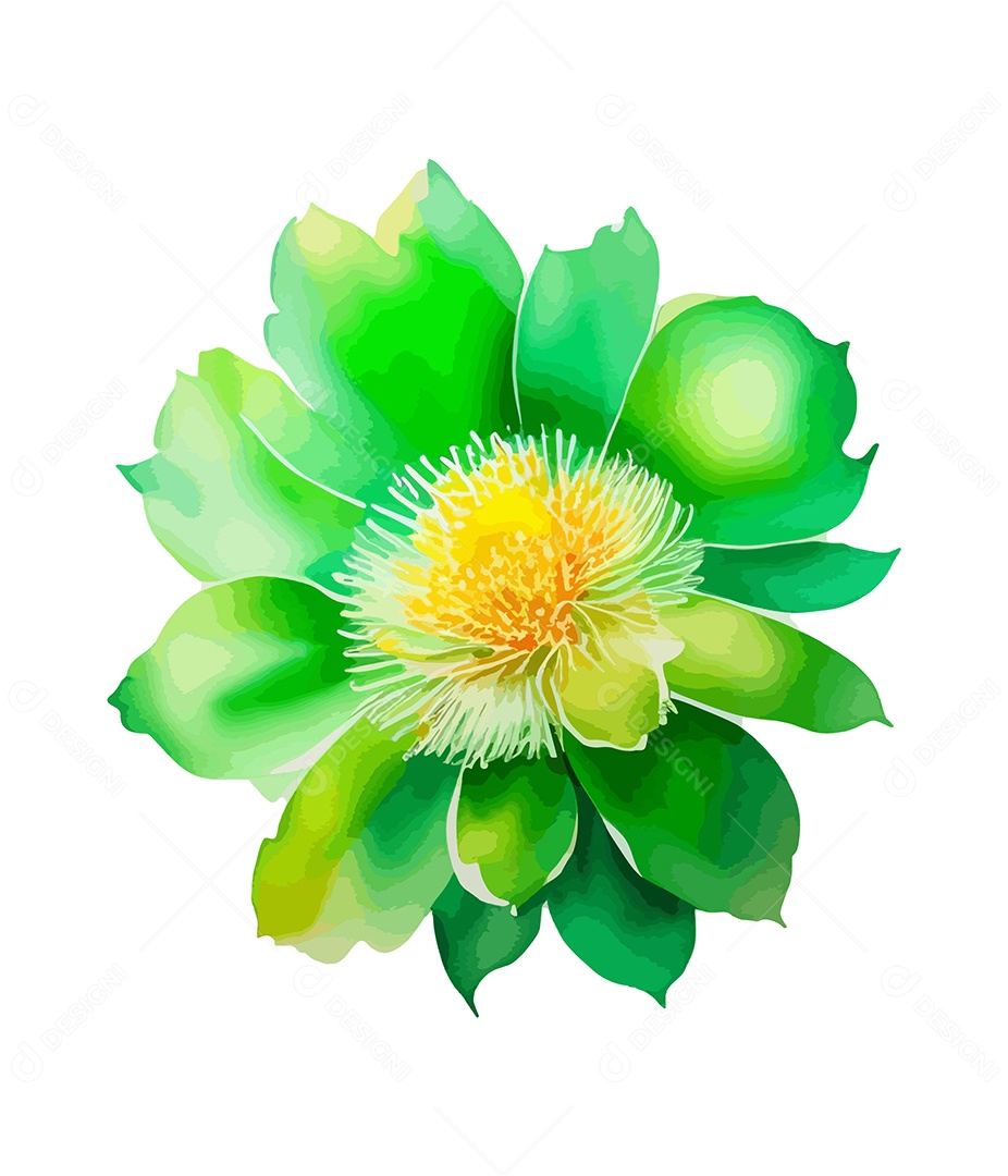 Desenho De Flor Verde Em Aquarela Desenhada Á Mão Vetor EPS