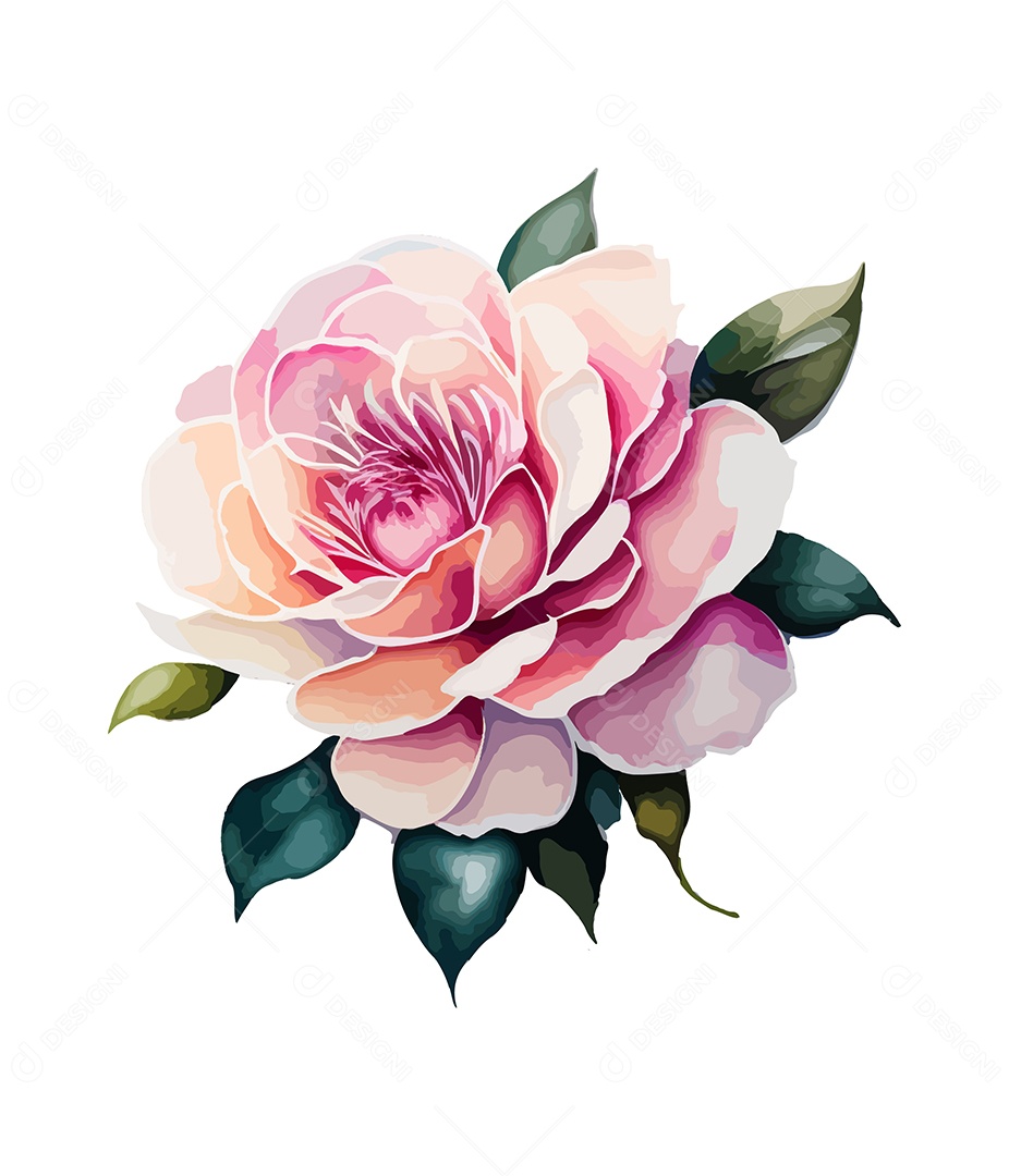 Desenho De Flor Em Aquarela Desenhada Á Mão Vetor EPS