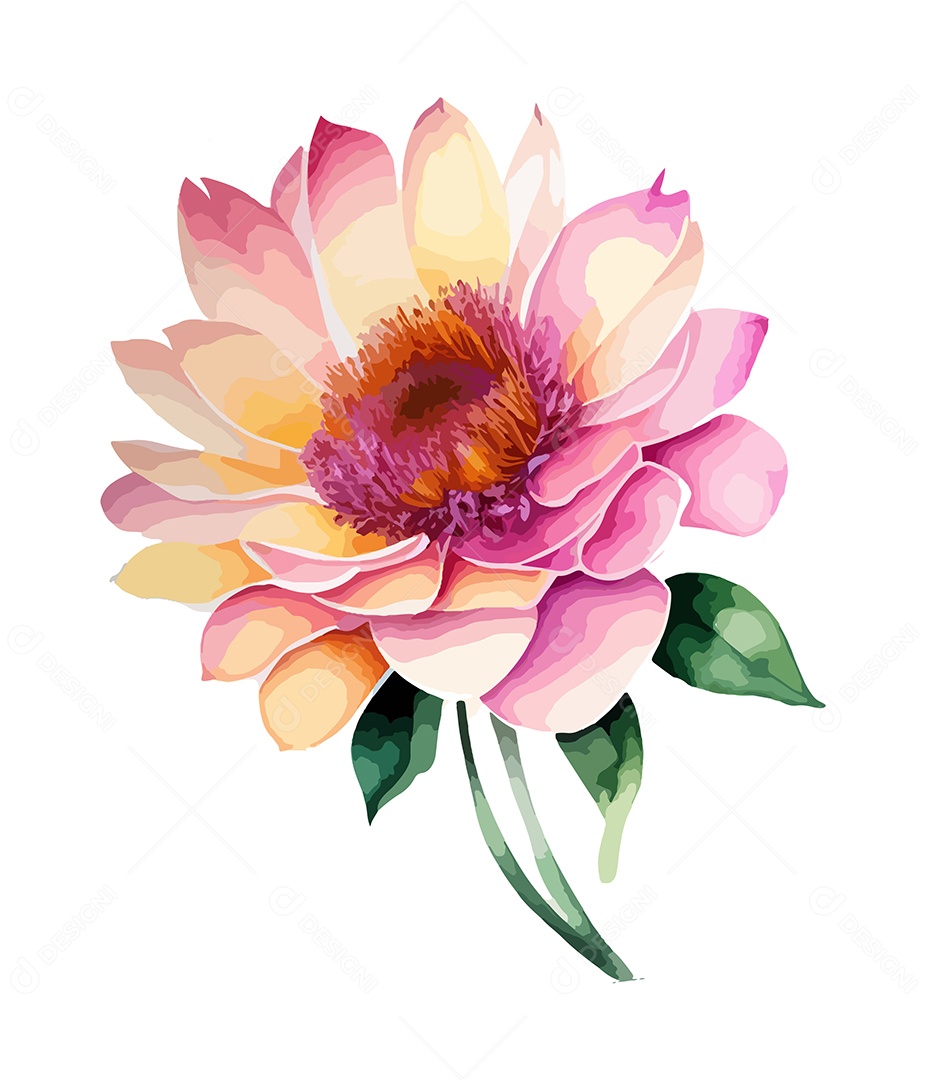 Desenho De Flor Em Aquarela Desenhada Á Mão Vetor EPS