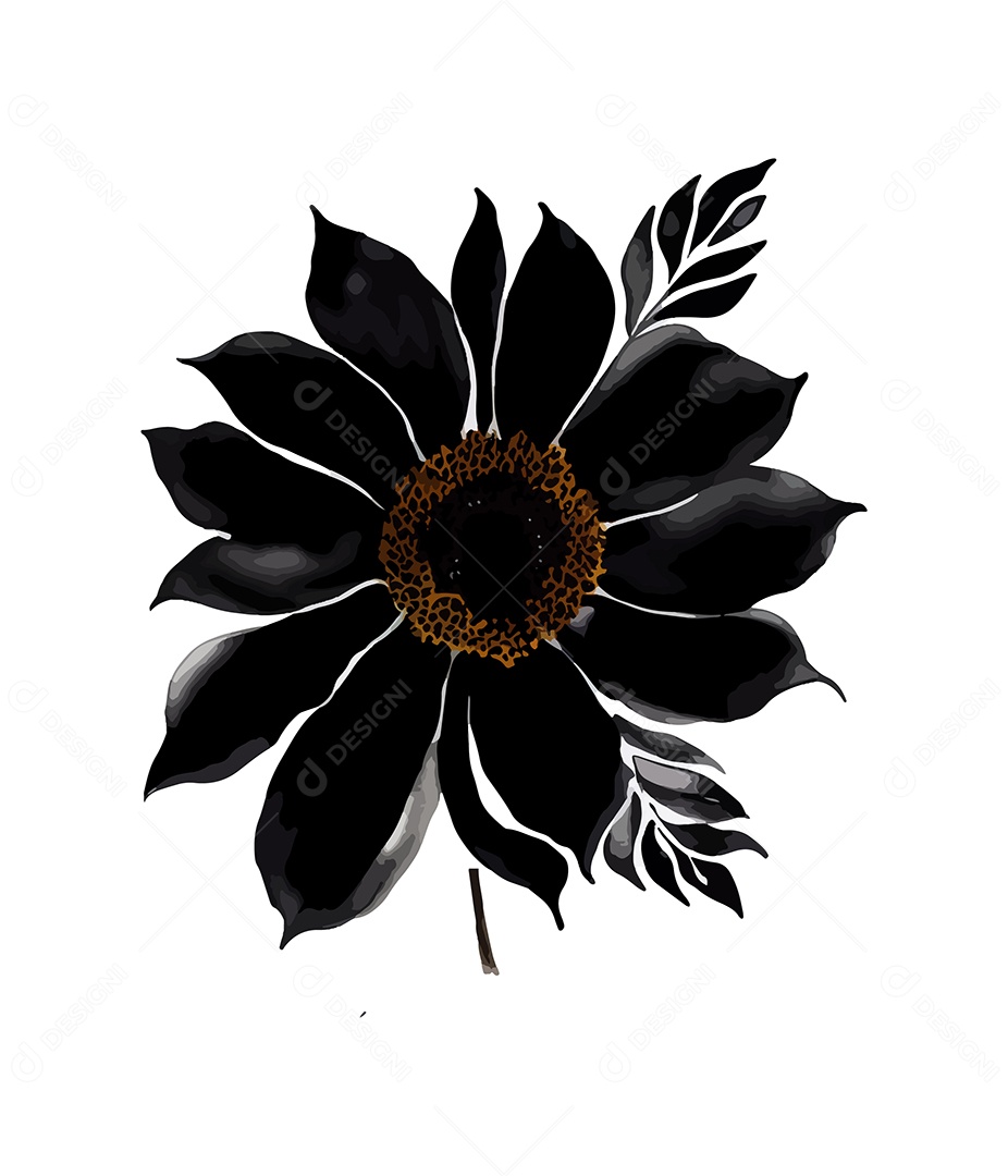 Desenho De Rosa Preta Flor Em Aquarela Desenhada Á Mão Vetor EPS