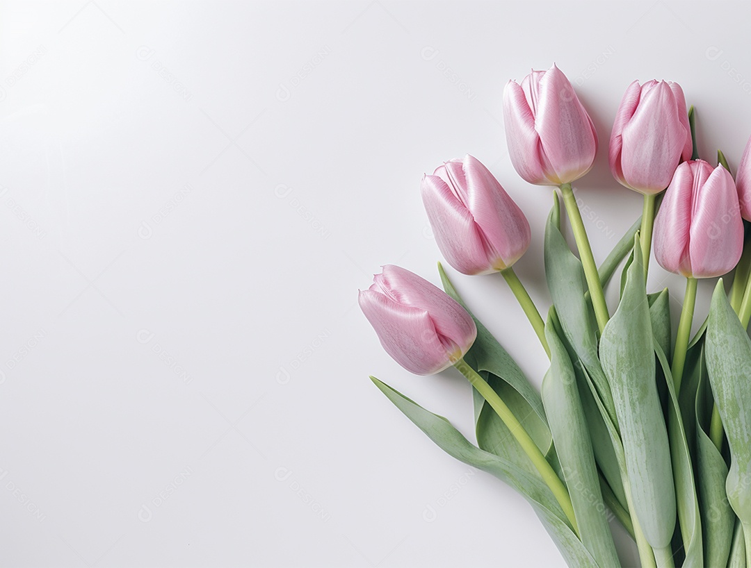 Fundo com buquê de lindas túlipas