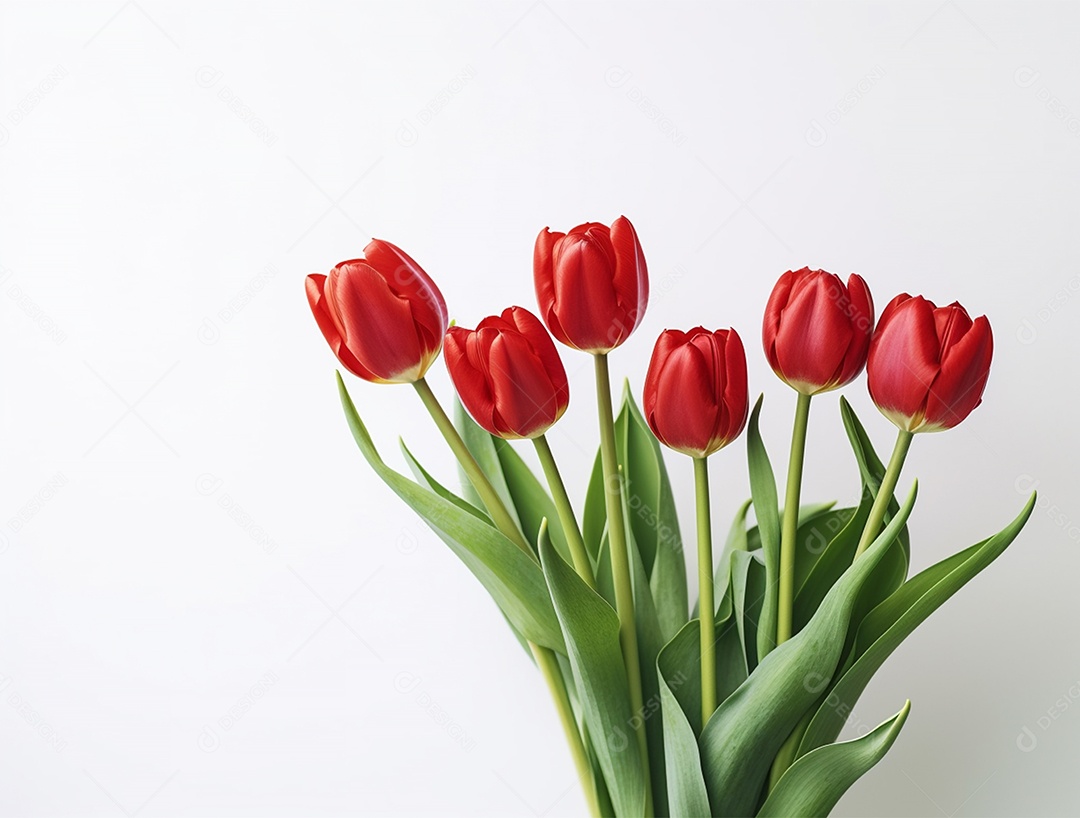 Lindo fundo com tulipas