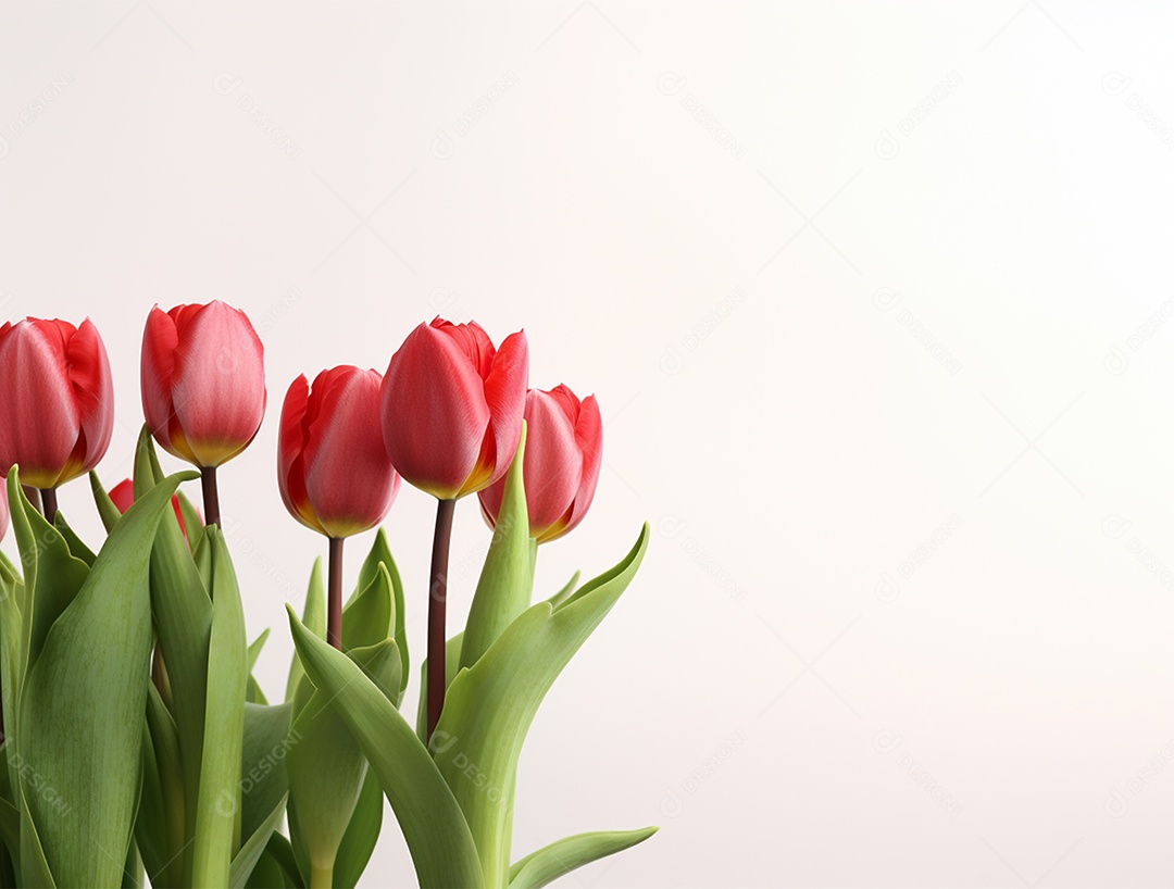 Lindo fundo com tulipas
