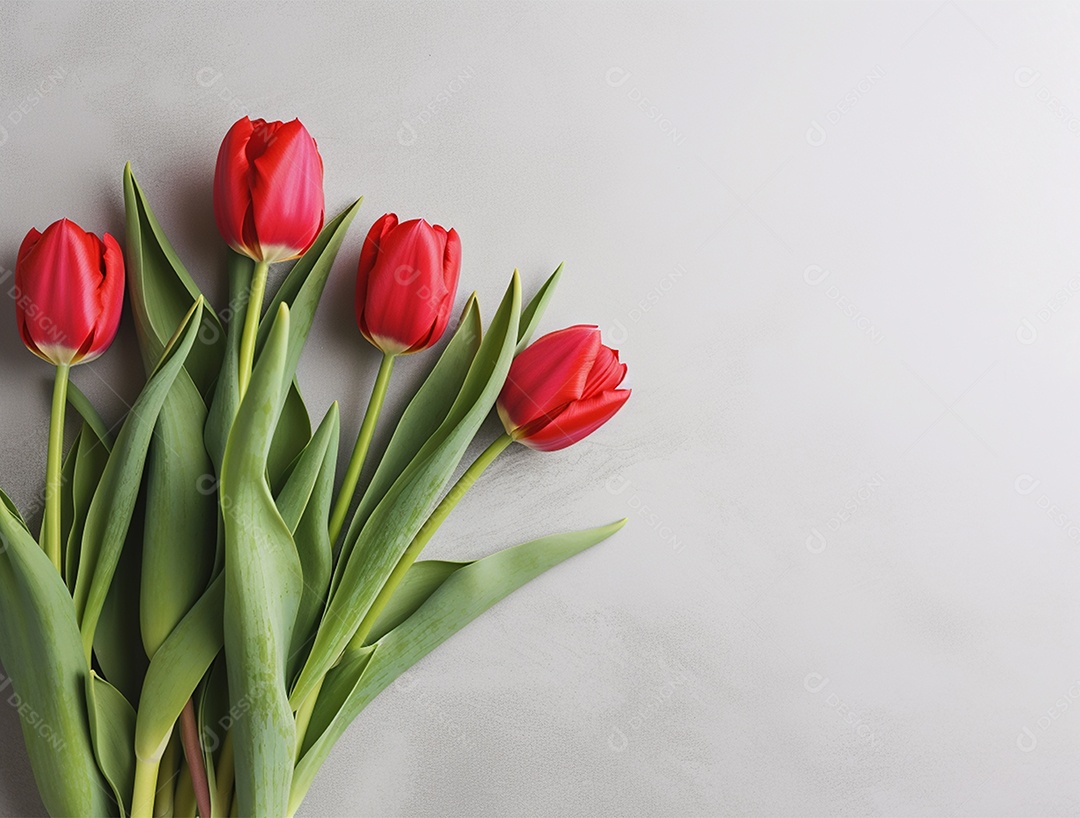 Lindo fundo com tulipas