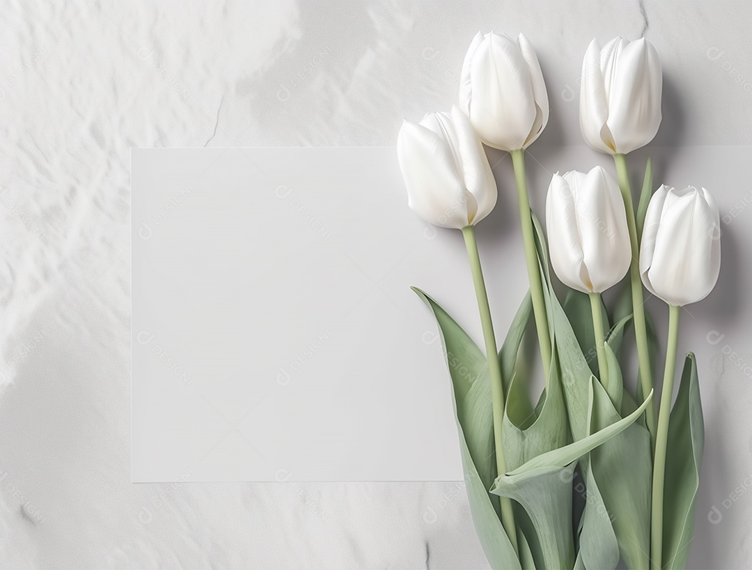 Lindo fundo com tulipas