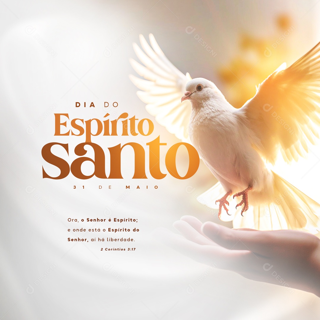 Dia 31 De Maio Dia Do Espirito Santo Data Comemorativa Social Media PSD Editável