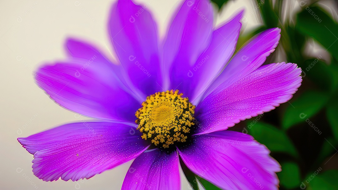 Imagem realista de linda flor sobre fundo isolado.