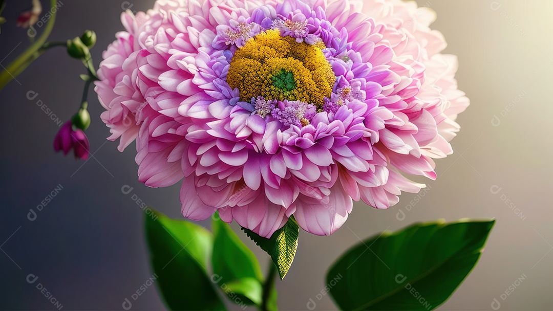 Imagem realista de linda flor sobre fundo isolado.