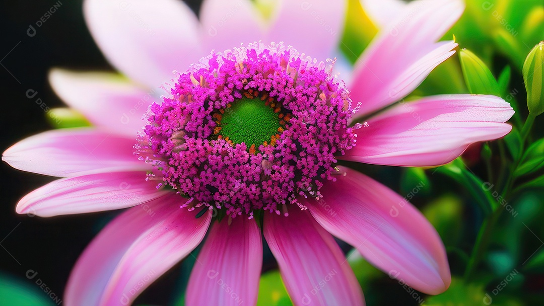 Imagem realista de linda flor sobre fundo isolado.