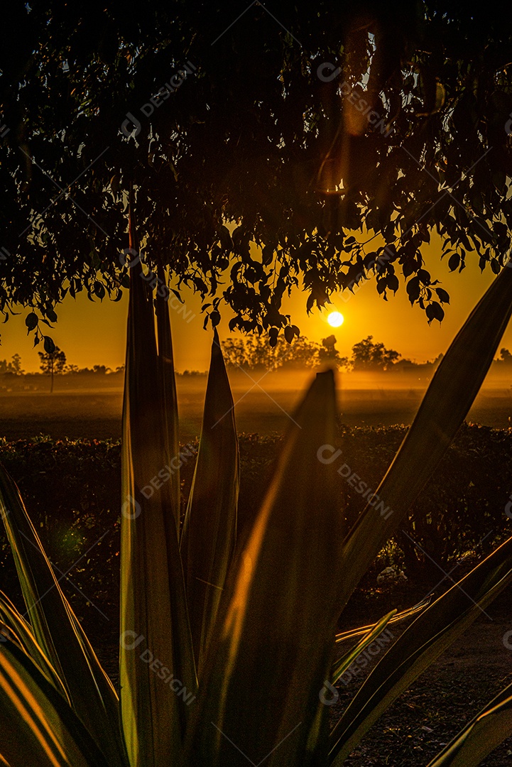 Amanhecer nos campos agrícolas do sul de Santa Catarina