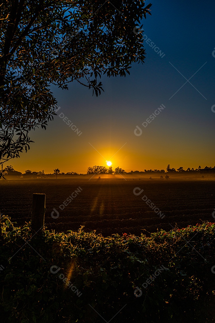 Amanhecer nos campos agrícolas do sul de Santa Catarina