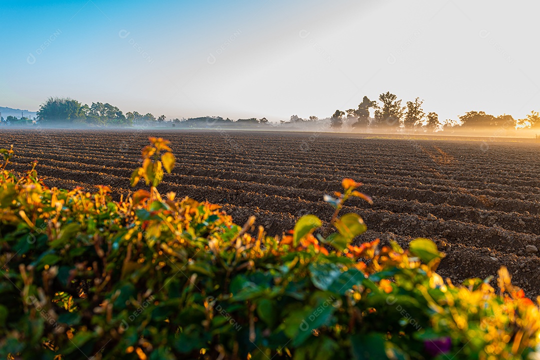 Amanhecer nos campos agrícolas do sul de Santa Catarina
