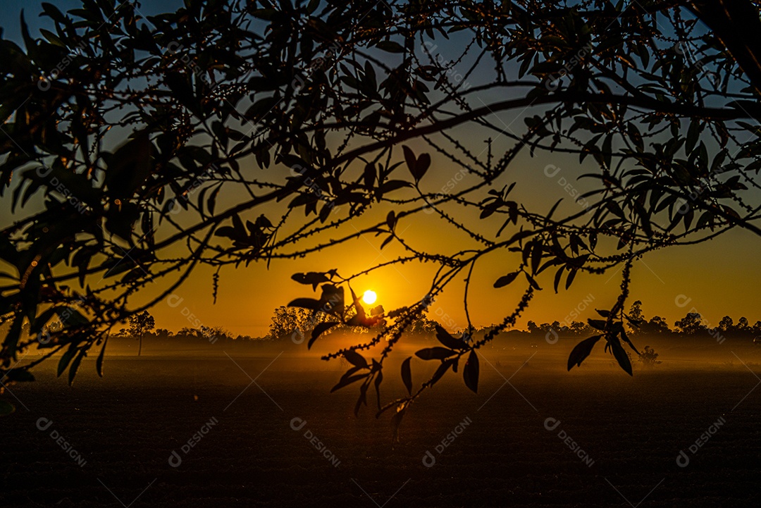 Amanhecer nos campos agrícolas do sul de Santa Catarina