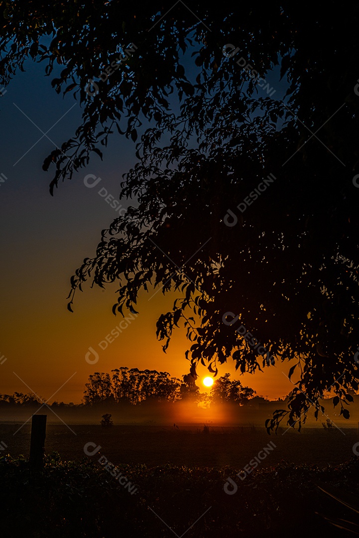 Amanhecer nos campos agrícolas do sul de Santa Catarina