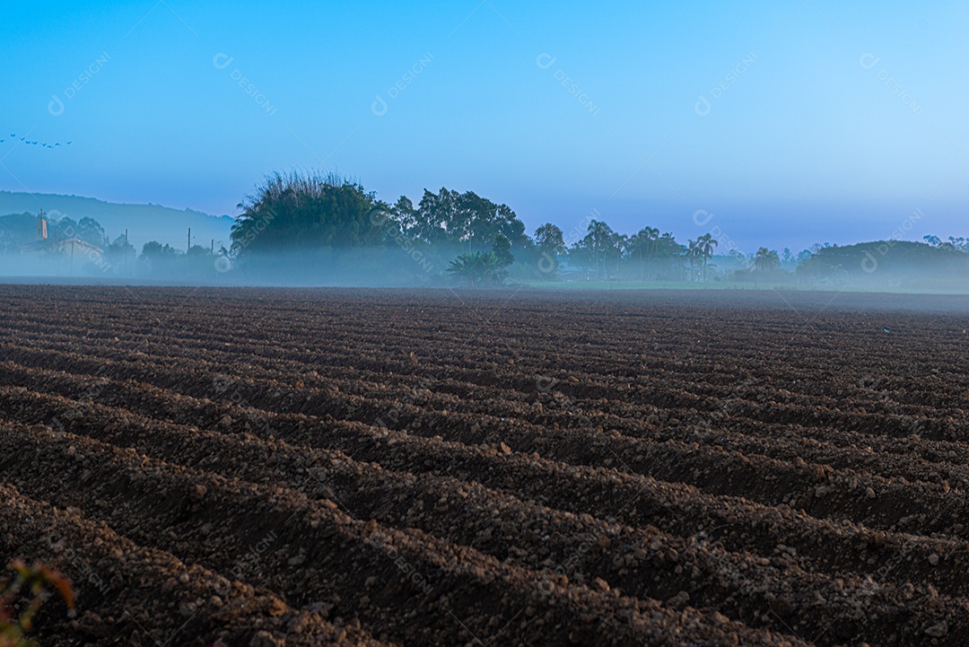 Amanhecer nos campos agrícolas do sul de Santa Catarina