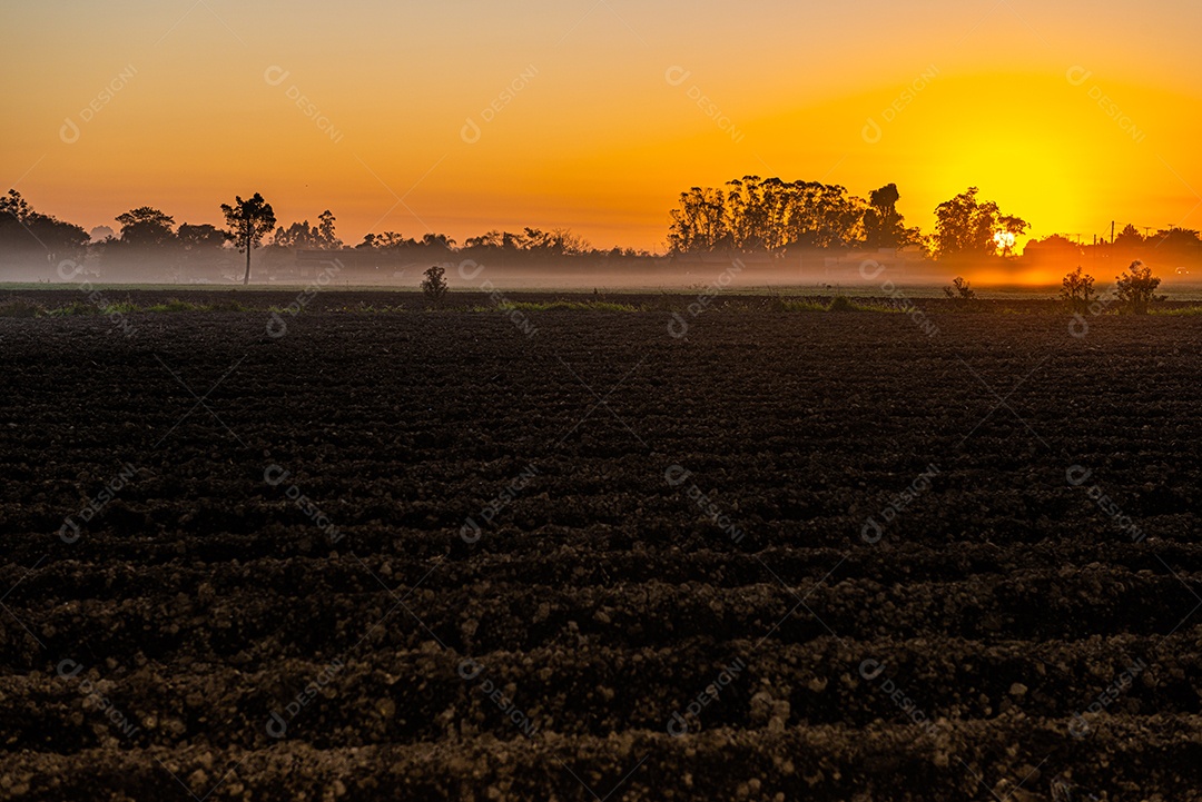 Amanhecer nos campos agrícolas do sul de Santa Catarina