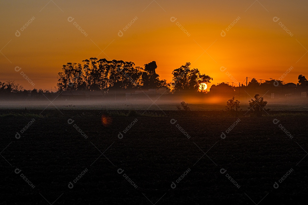 Amanhecer nos campos agrícolas do sul de Santa Catarina