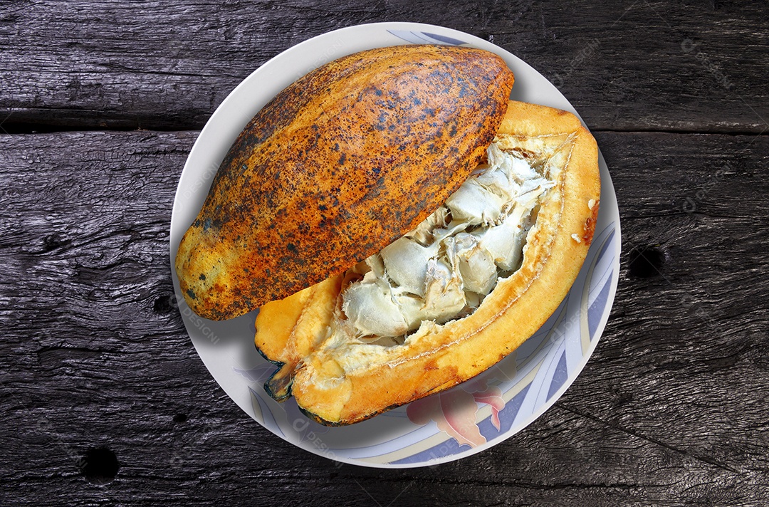 Cacau pendurado, planta tropical