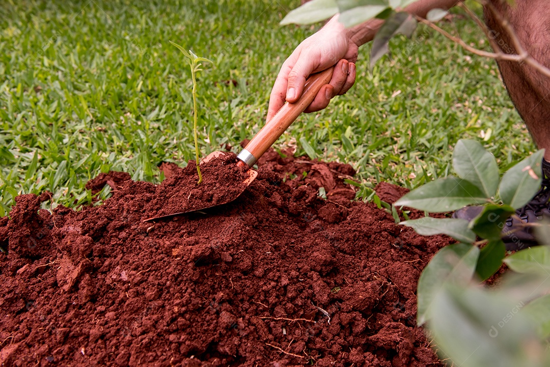 Monte de terra com um dente de jardineiro, plantando símbolo