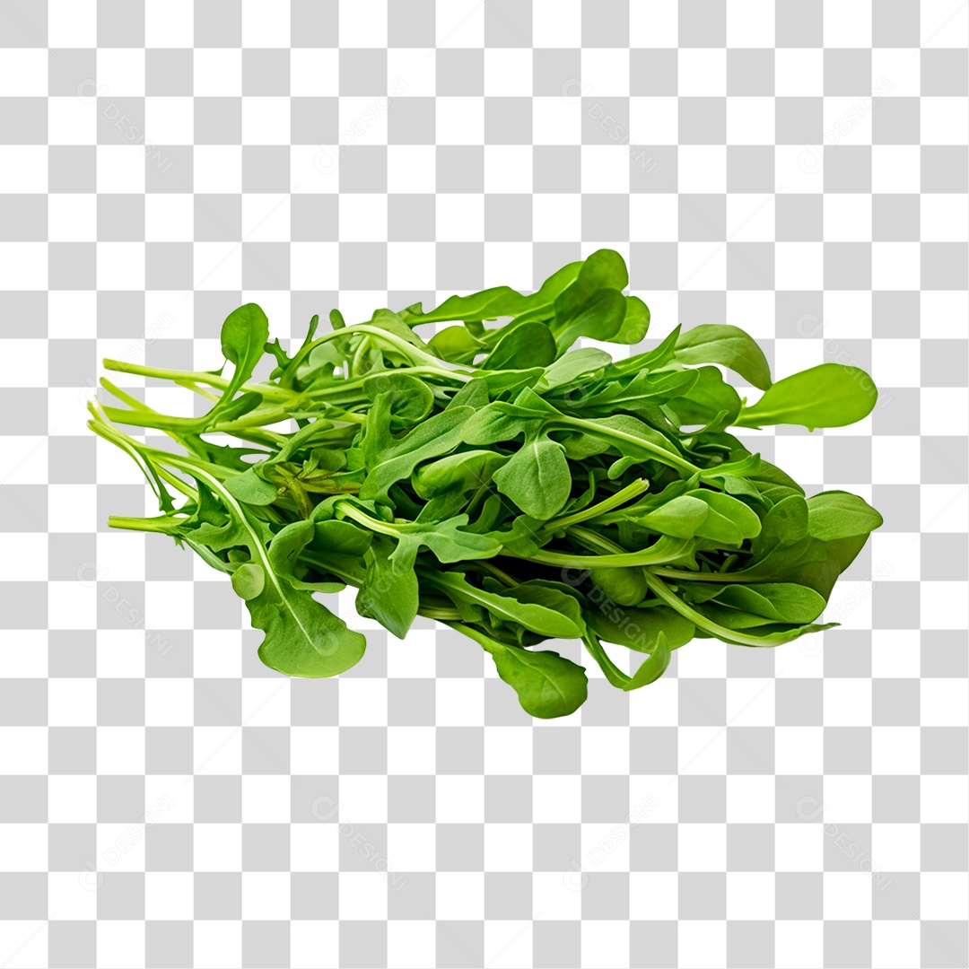 Rúcula alimento PNG Transparente